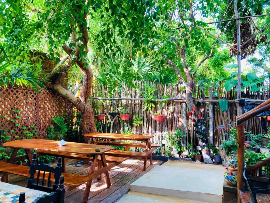 Hostal Holbox Экстерьер фото