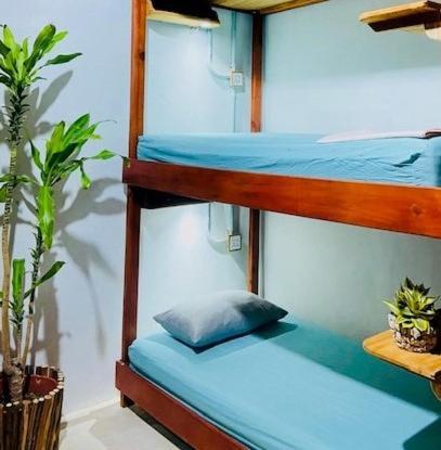 Hostal Holbox Экстерьер фото